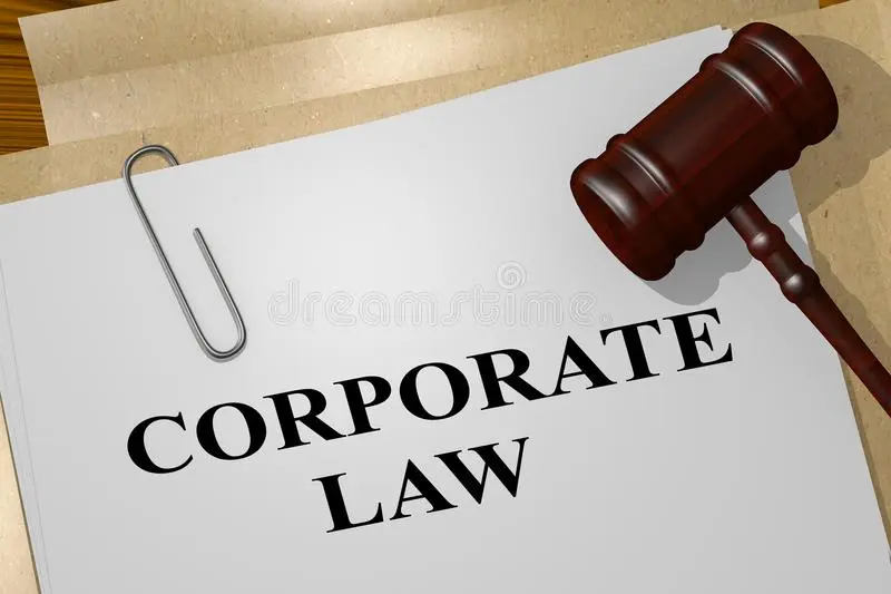 The Difference Between a Business Lawyer and Corporate Lawyer